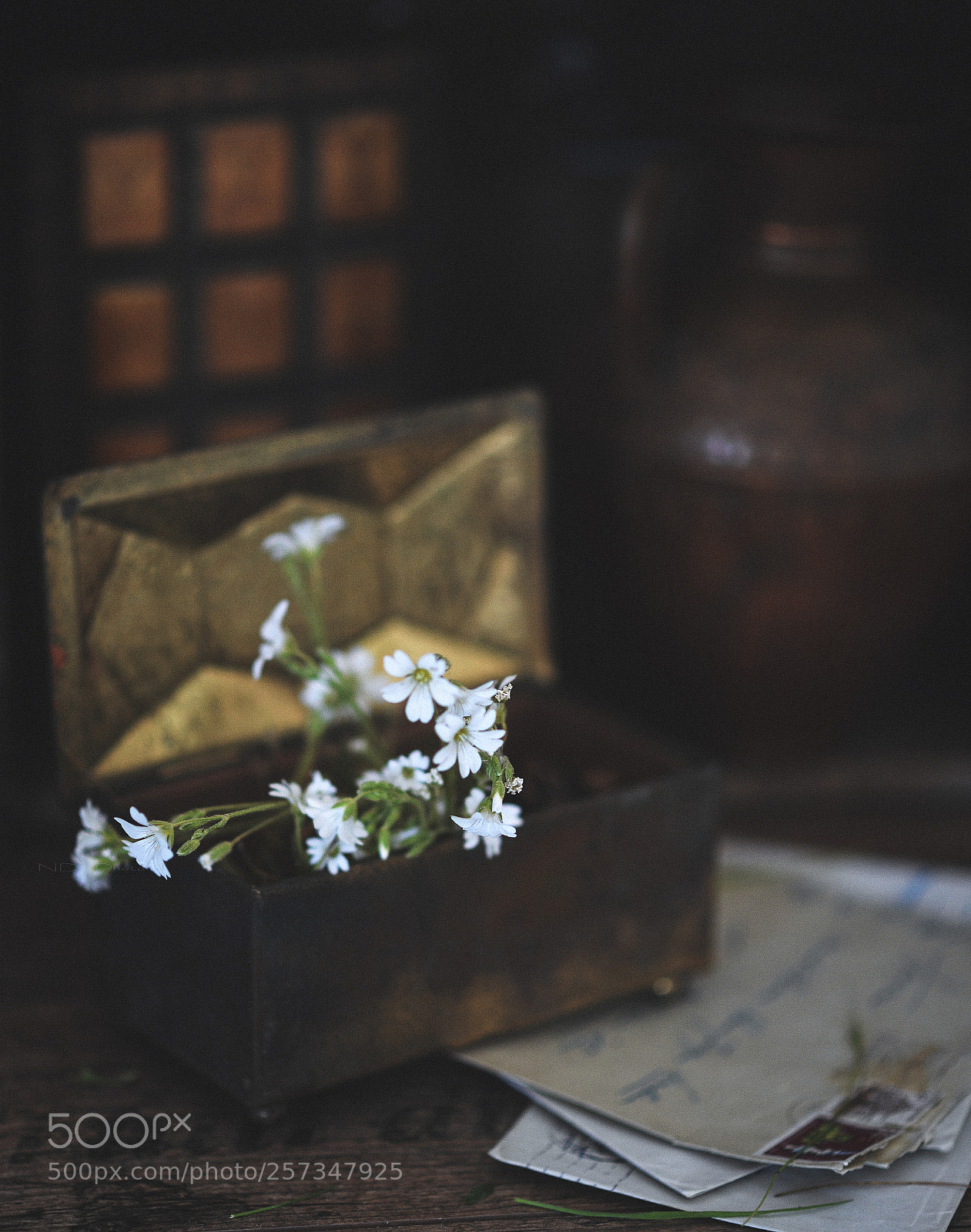 Nikon D610 sample photo. M a hoa d photography