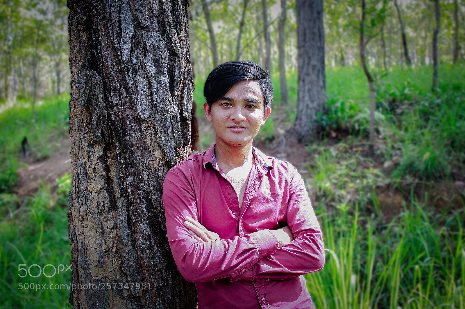 Canon EOS 60D sample photo. Phorn photography