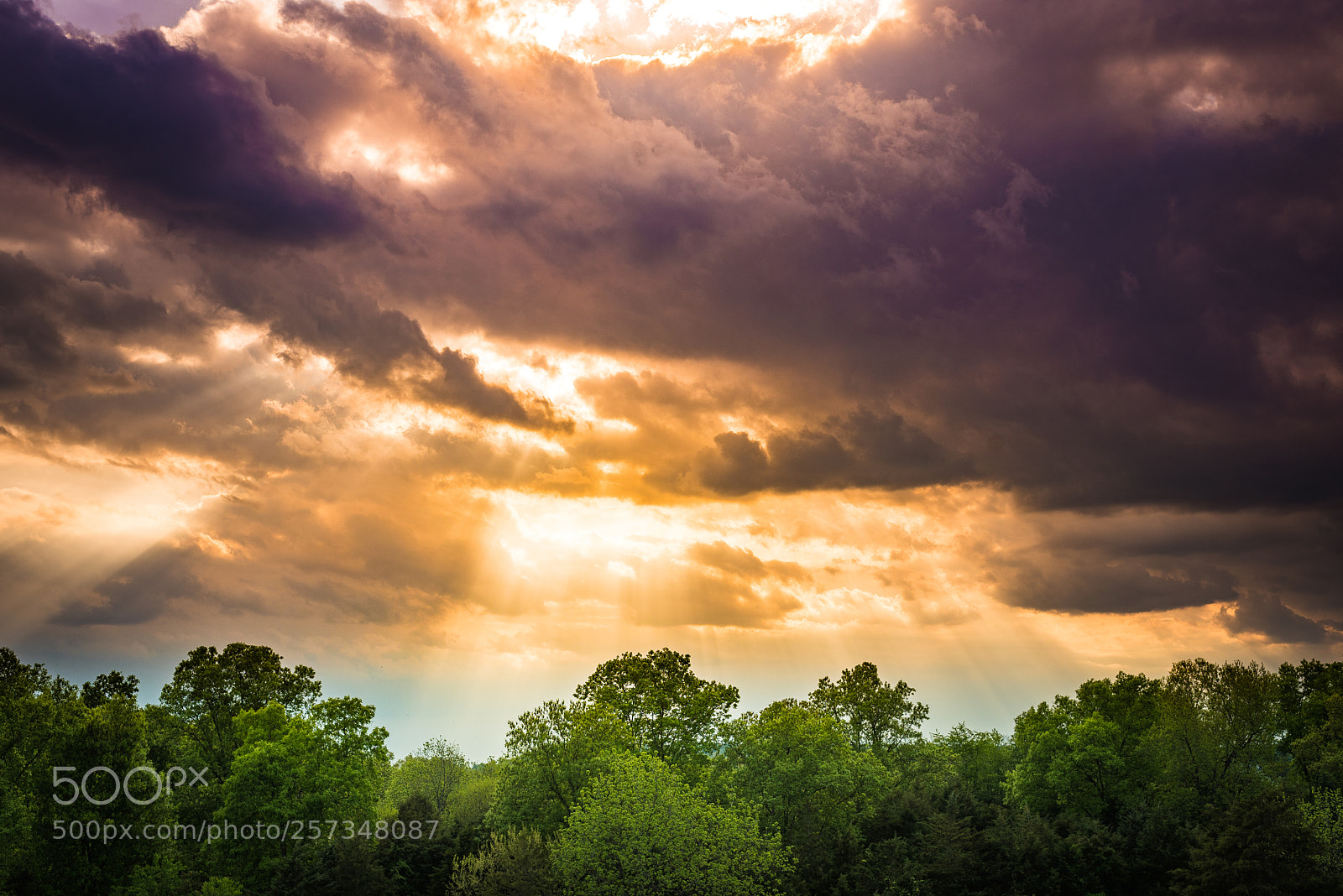 Nikon D750 sample photo. Weyers cave sunset photography
