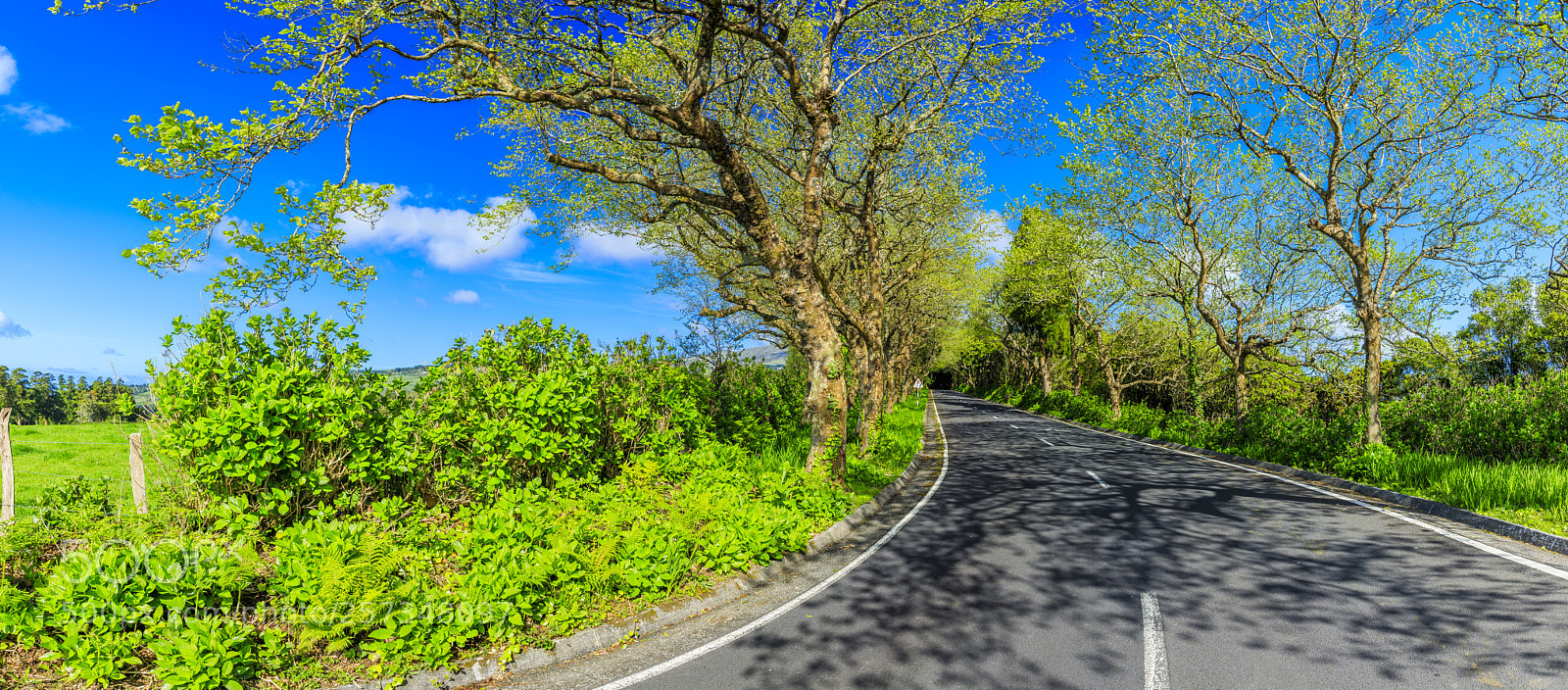 Canon EOS 5D Mark IV sample photo. A ores-faial-route en2-2a panorama photography