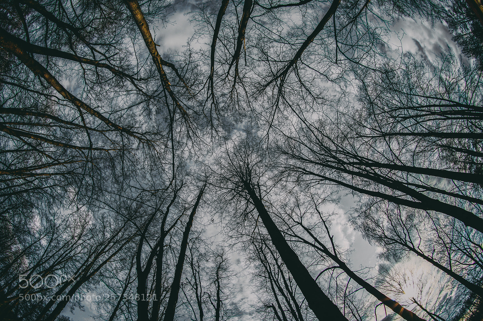 Sony a7 II sample photo. High look photography