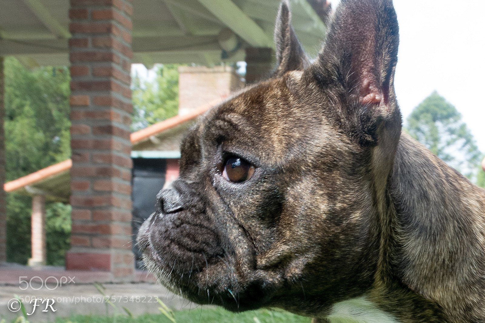 Nikon D7200 sample photo. Freya photography