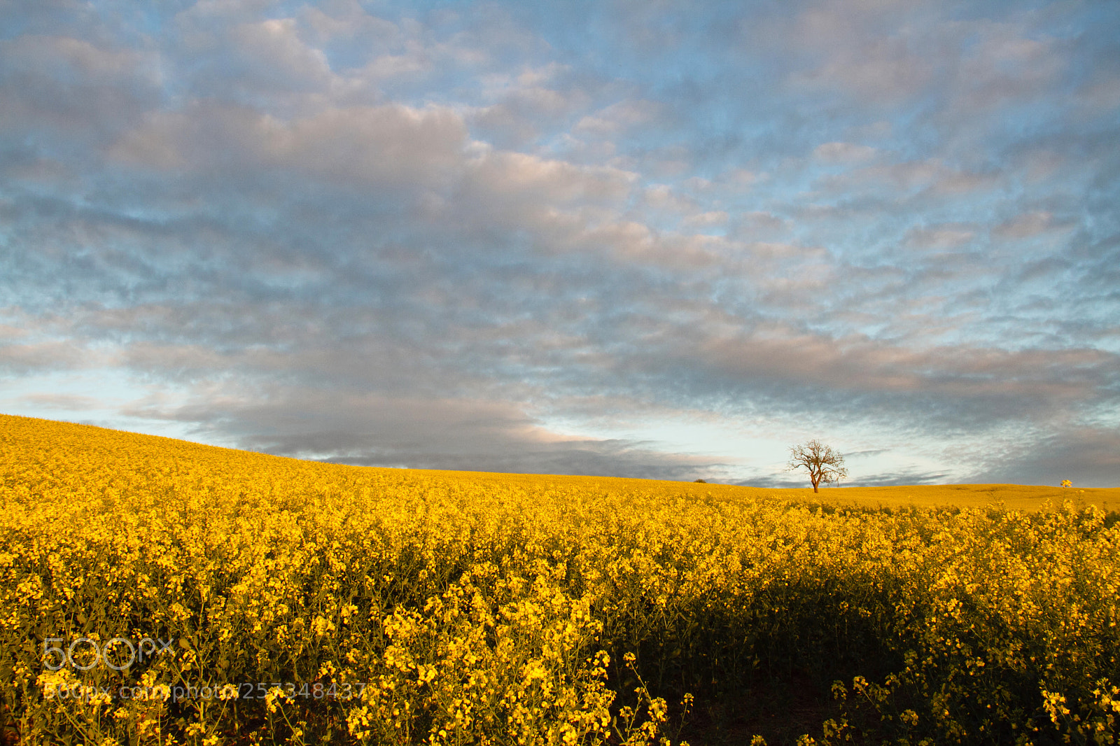 Canon EOS 7D sample photo. Spring light & shadows photography
