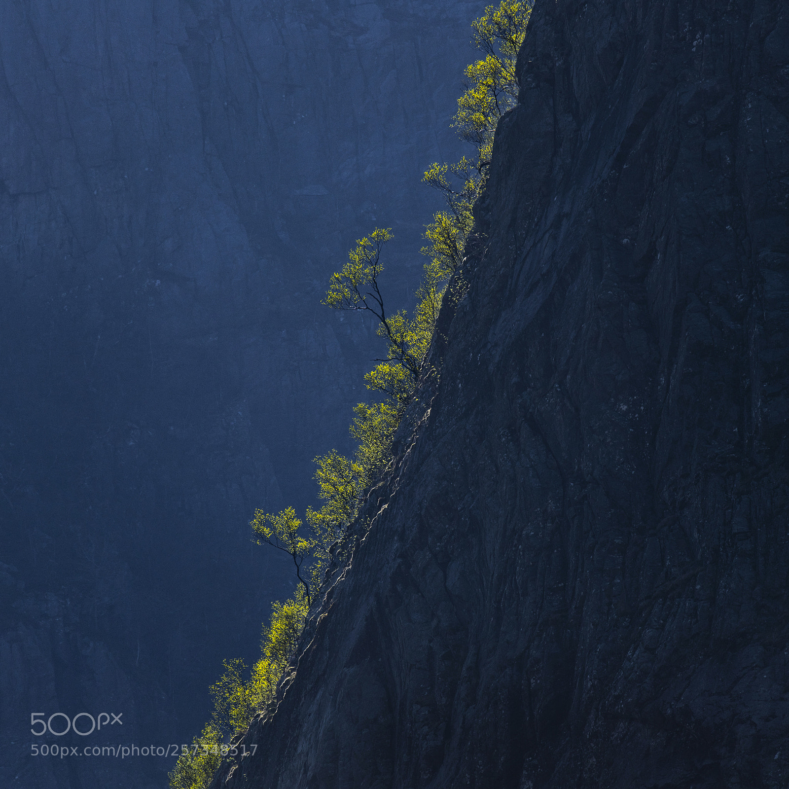 Nikon D850 sample photo. Spring in the mountains photography