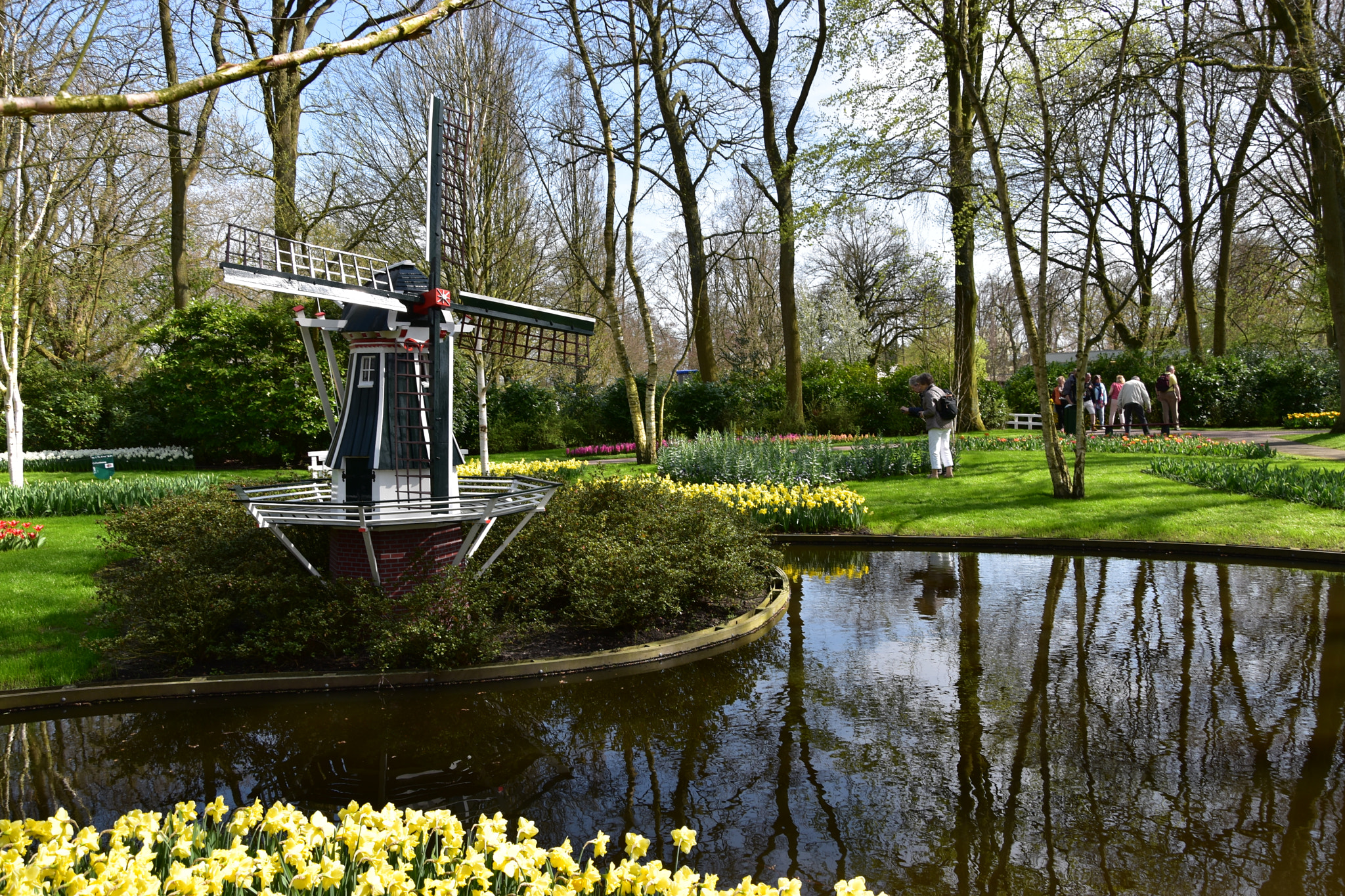 Nikon D5500 sample photo. Moulin de hollande photography