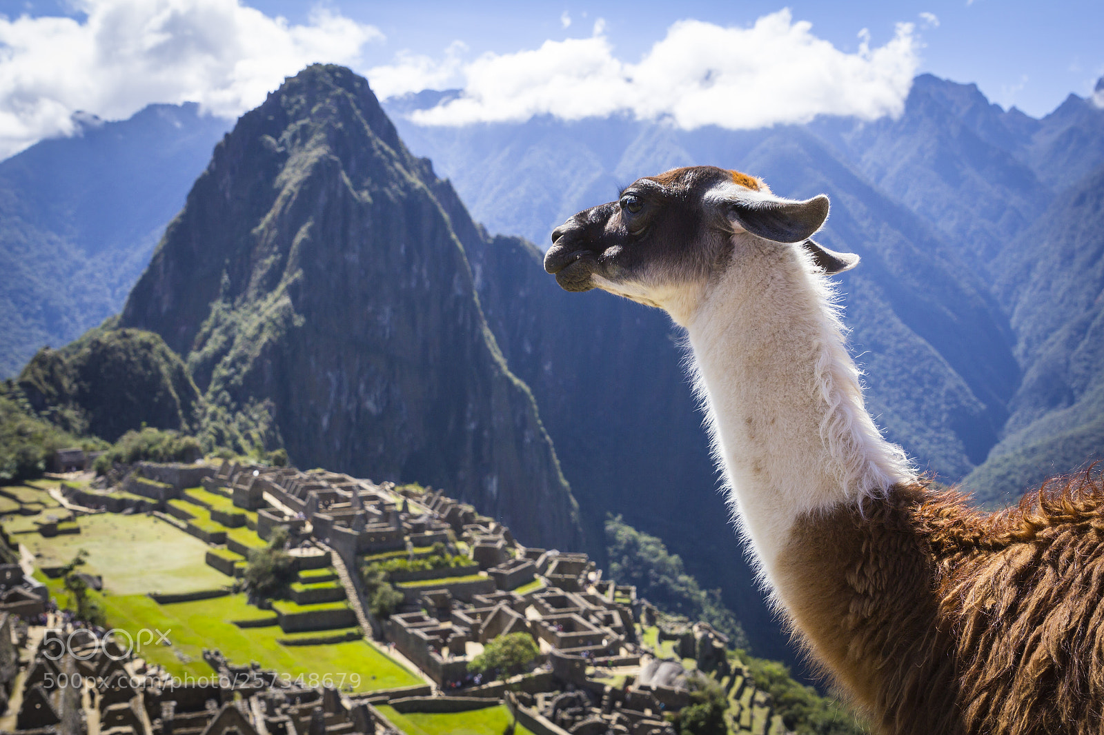 Canon EOS 60D sample photo. Watchkeeper of machu picchu photography