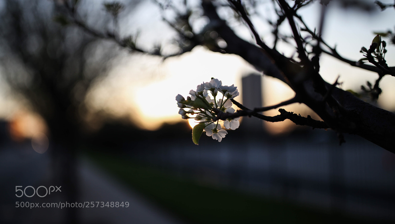 Canon EOS 5D Mark II sample photo. Untitled photography
