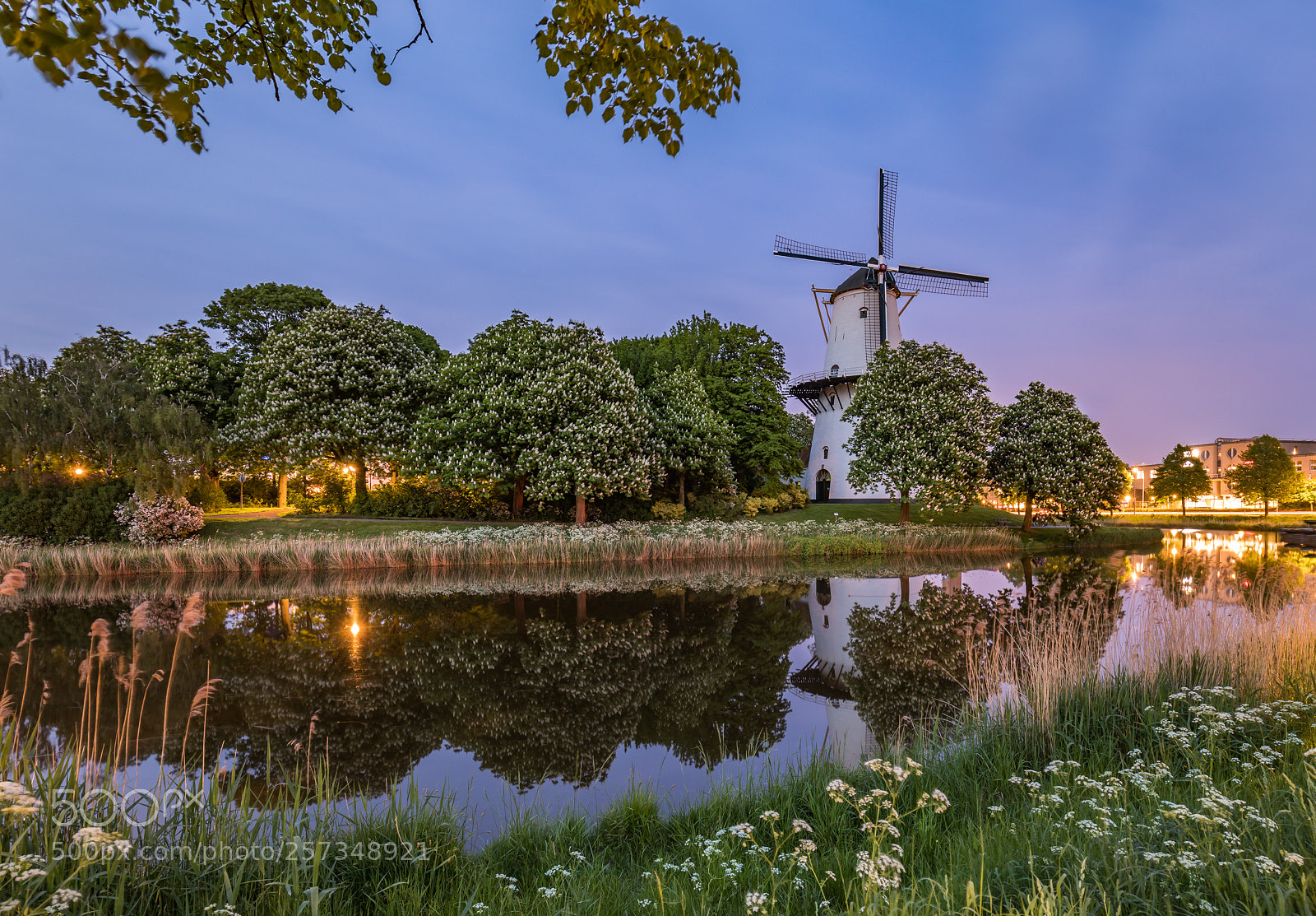 Canon EOS 5D Mark IV sample photo. De hoop! photography