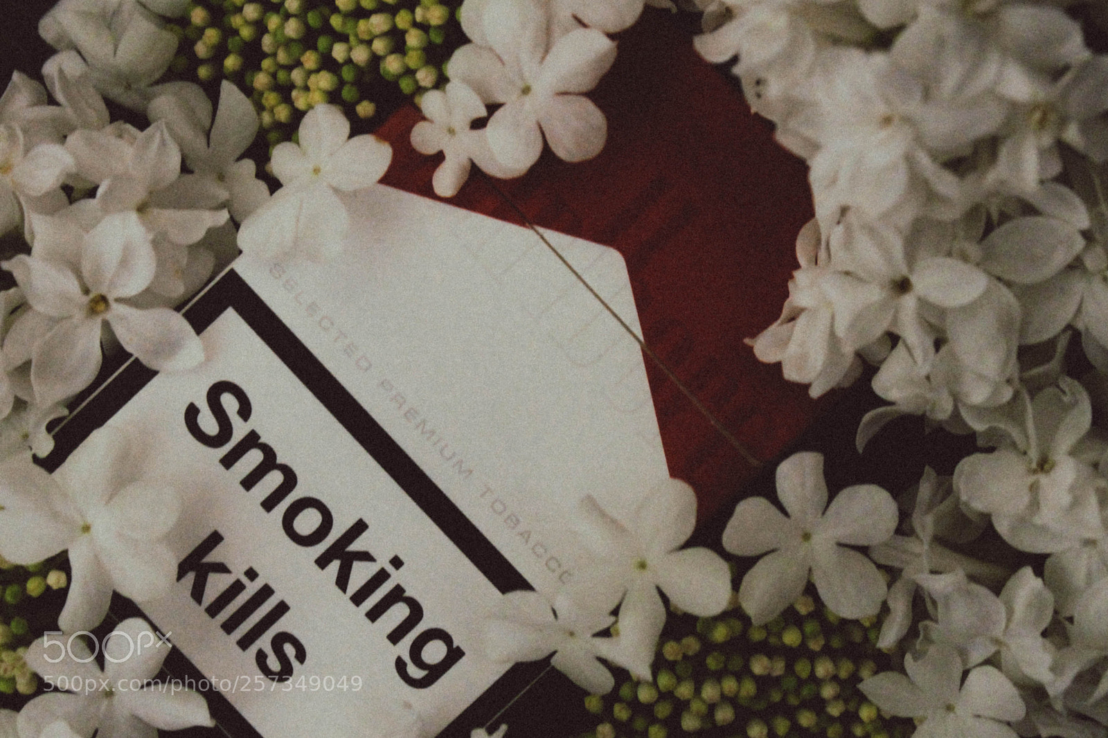 Canon EOS 1100D (EOS Rebel T3 / EOS Kiss X50) sample photo. Smoking kills photography