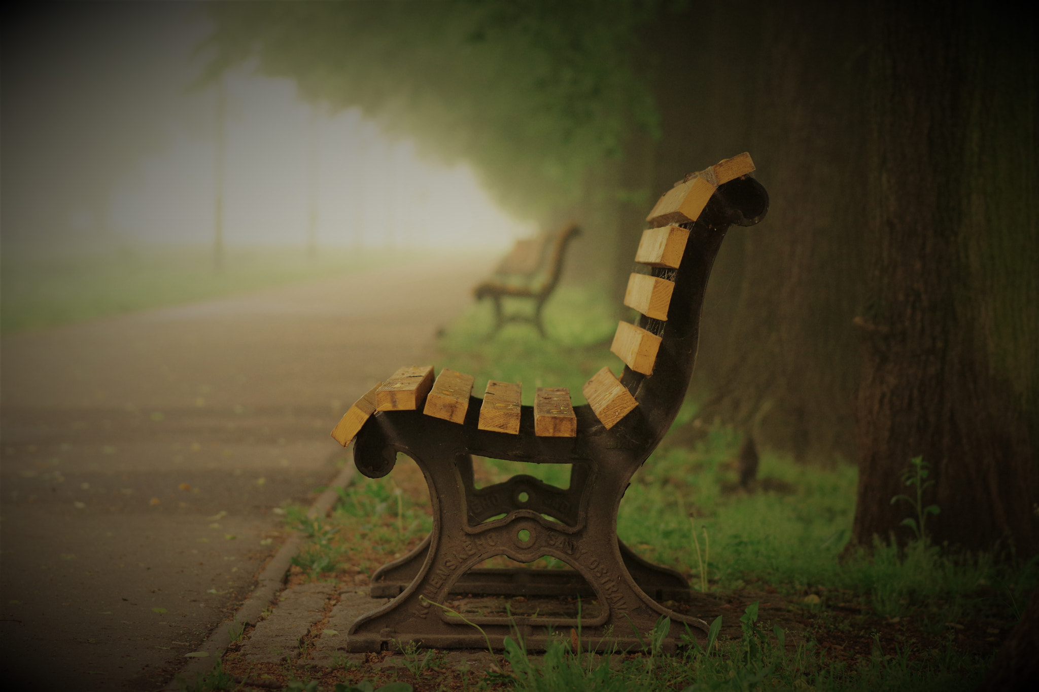 Pentax K-70 + Pentax smc D-FA 100mm F2.8 Macro WR sample photo. Bench in the park photography