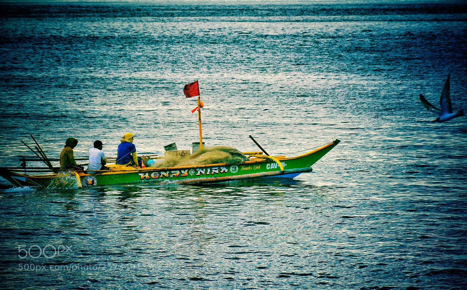 Nikon D7100 sample photo. Untitled photography