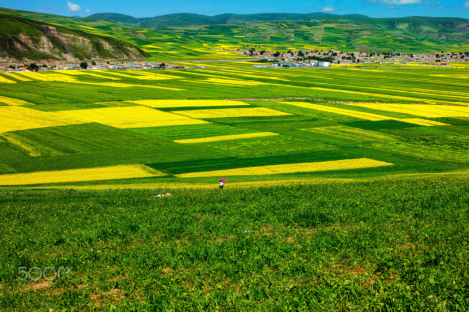 Sigma DP2 Merrill sample photo. Beautiful farmland photography