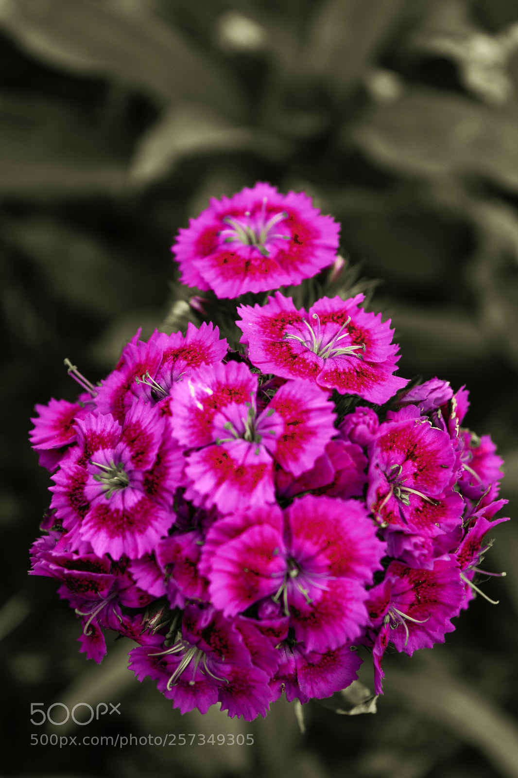 Nikon D5200 sample photo. Untitled photography