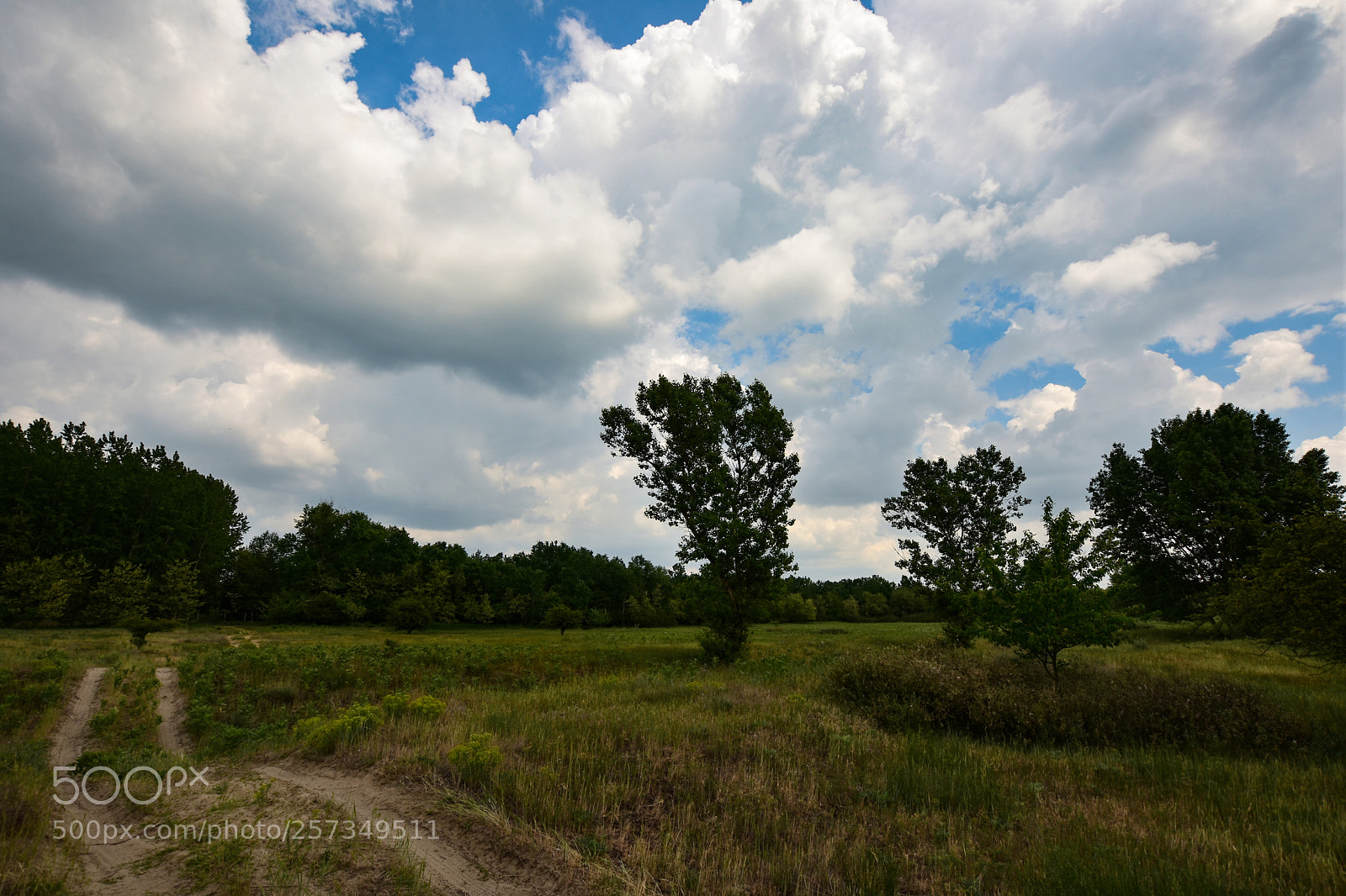 Nikon D7200 sample photo. Untitled photography