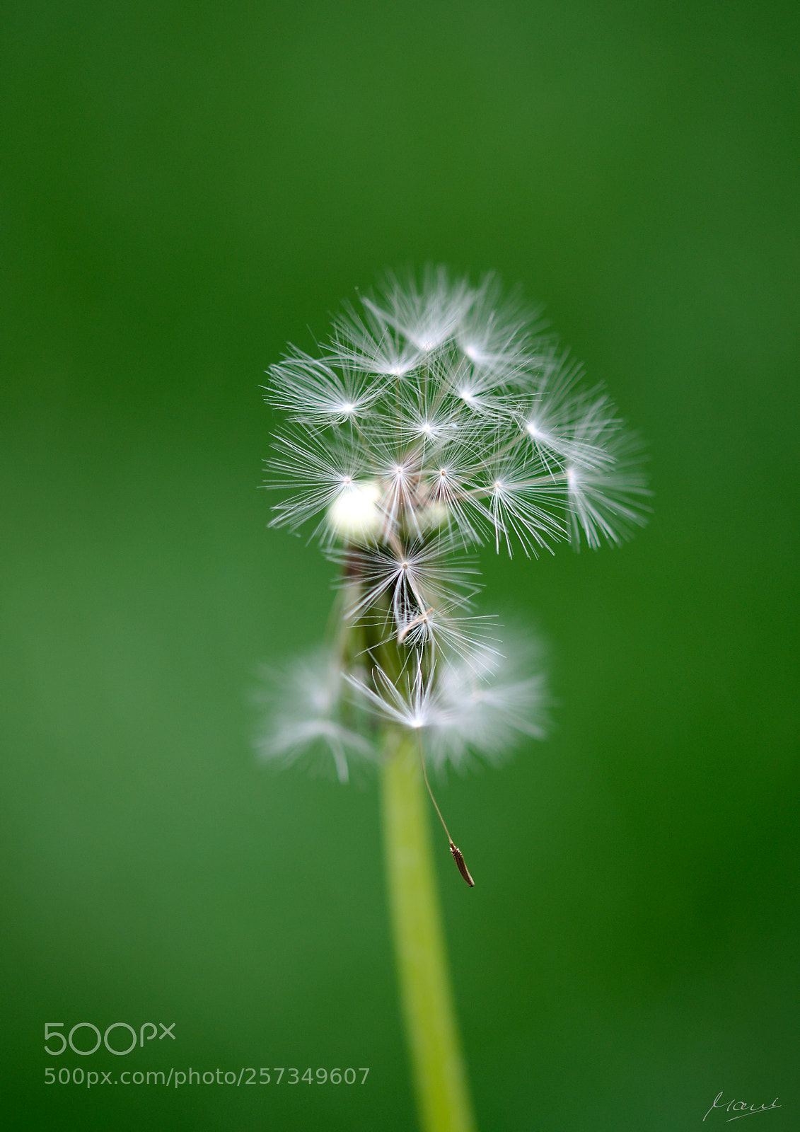 Nikon D90 sample photo. We are the future photography