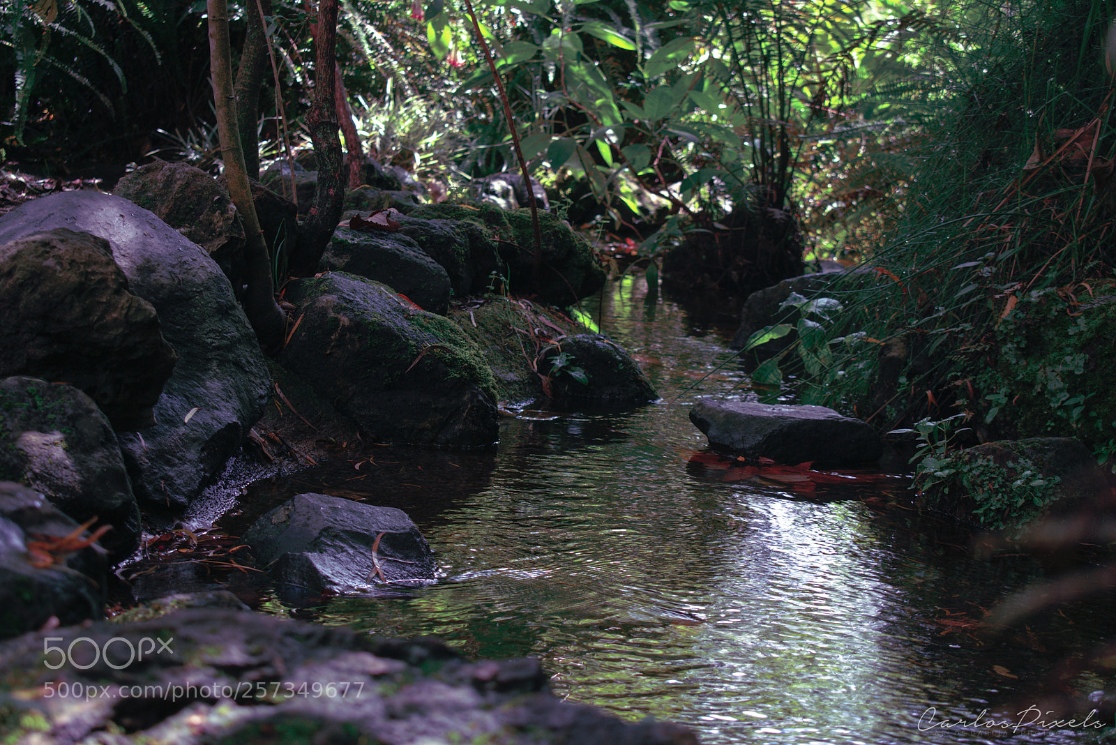 Nikon D3400 sample photo. River photography