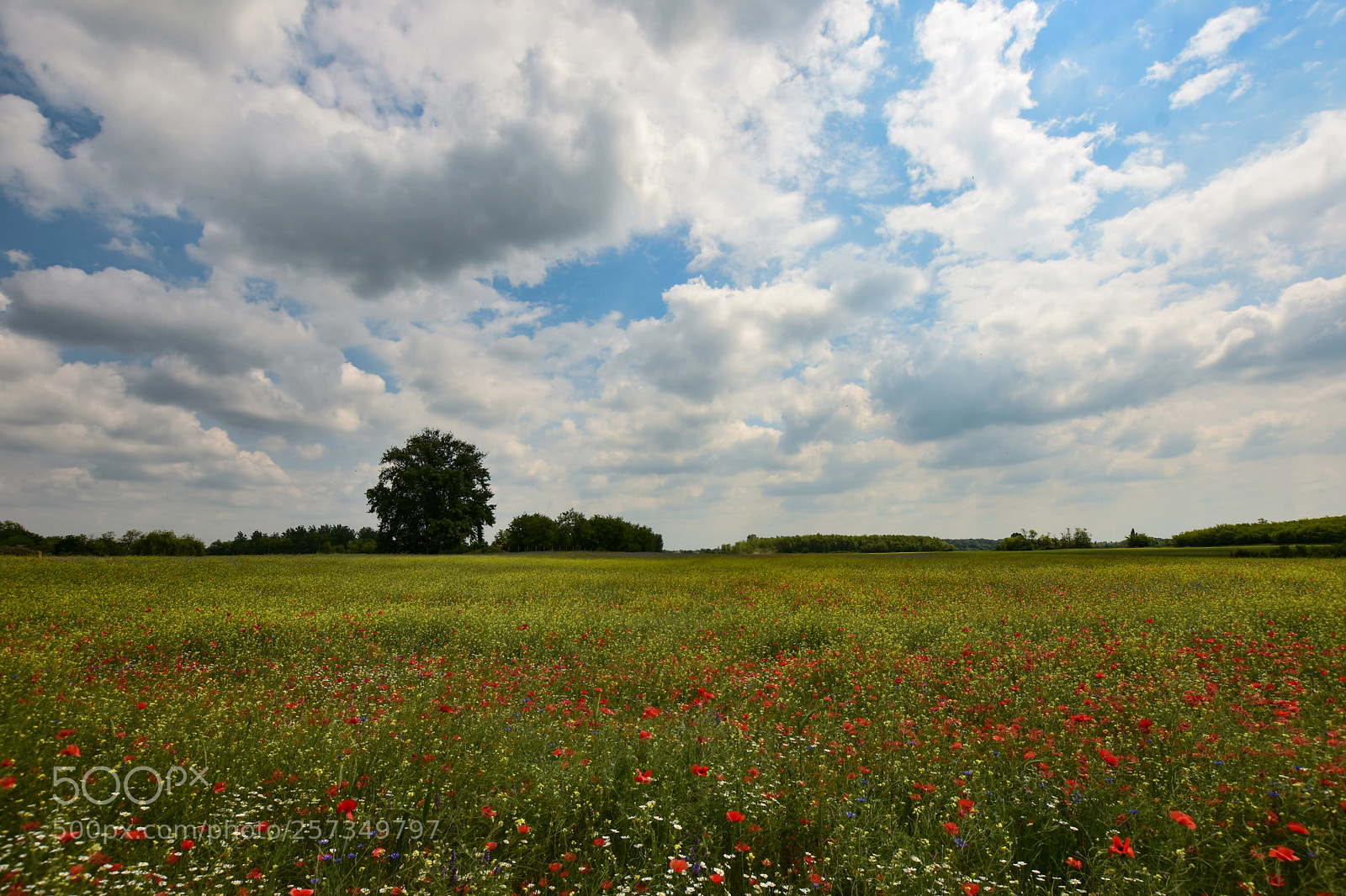 Nikon D7200 sample photo. Untitled photography