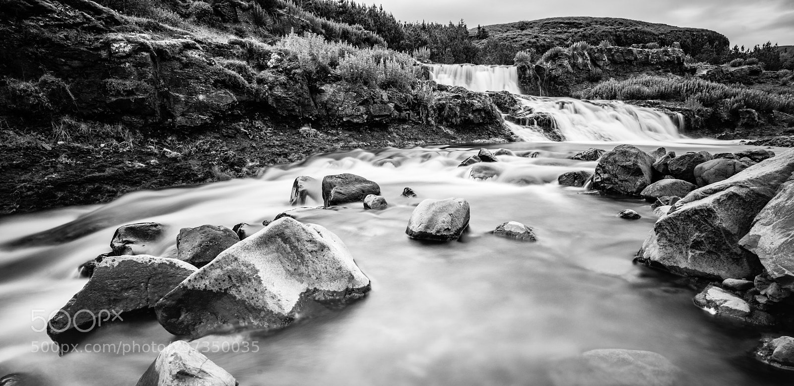 Nikon D610 sample photo. Flow, river, flow photography