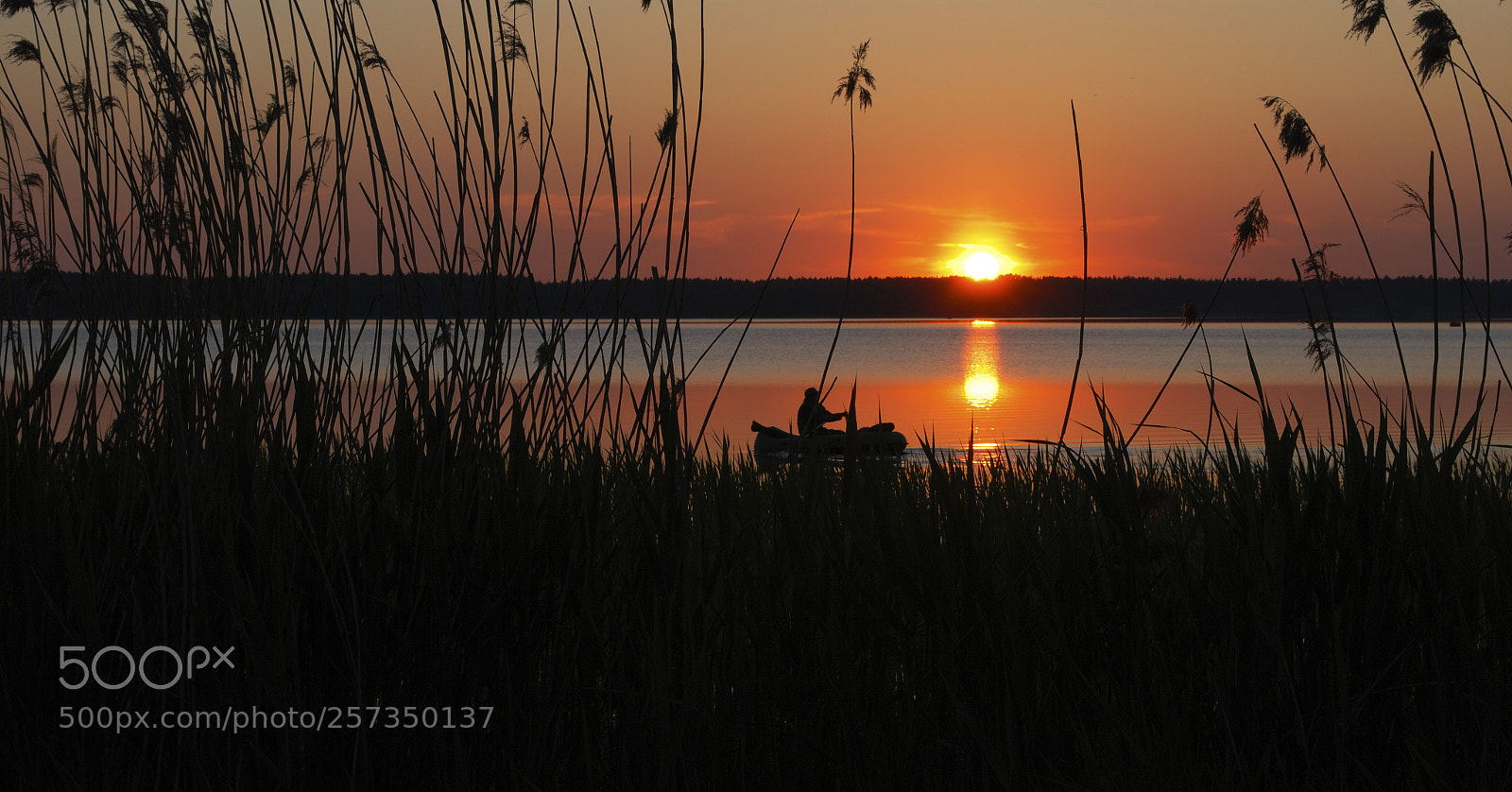Nikon D80 sample photo. Fisherman. photography