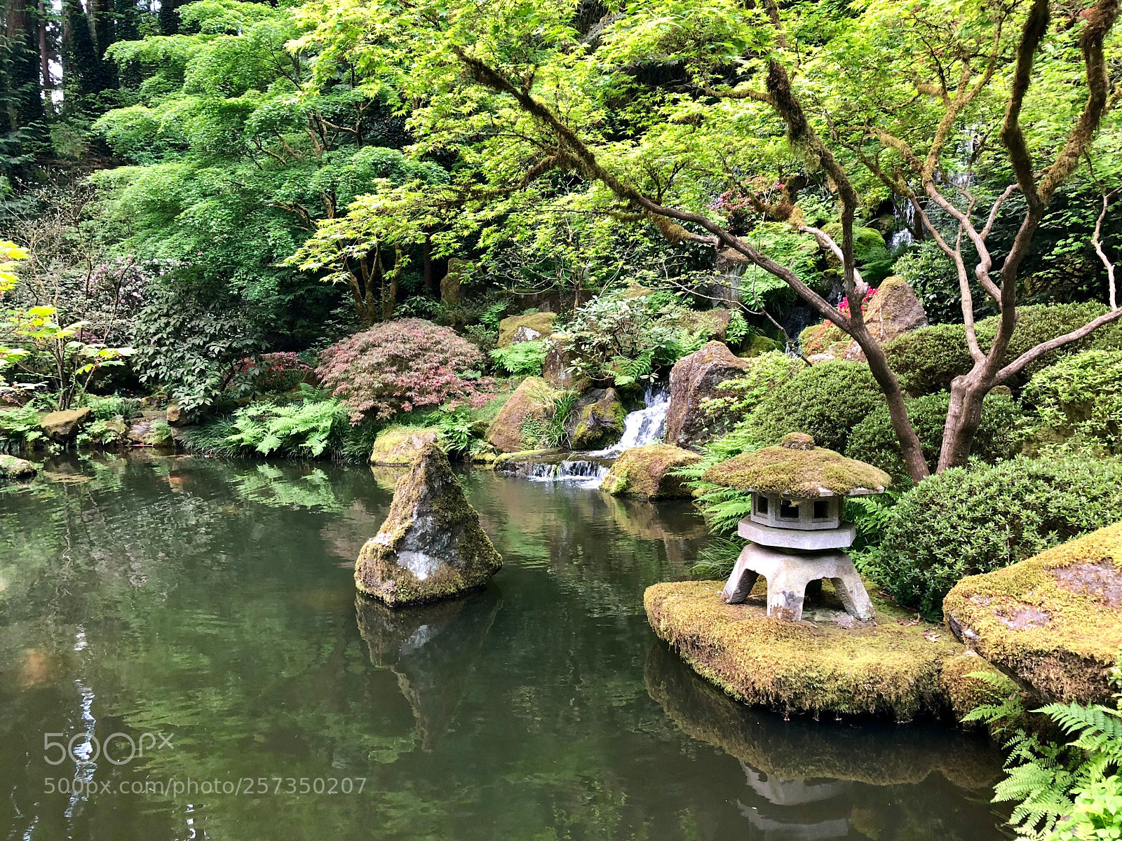 Apple iPhone 8 Plus sample photo. Japanese garden photography