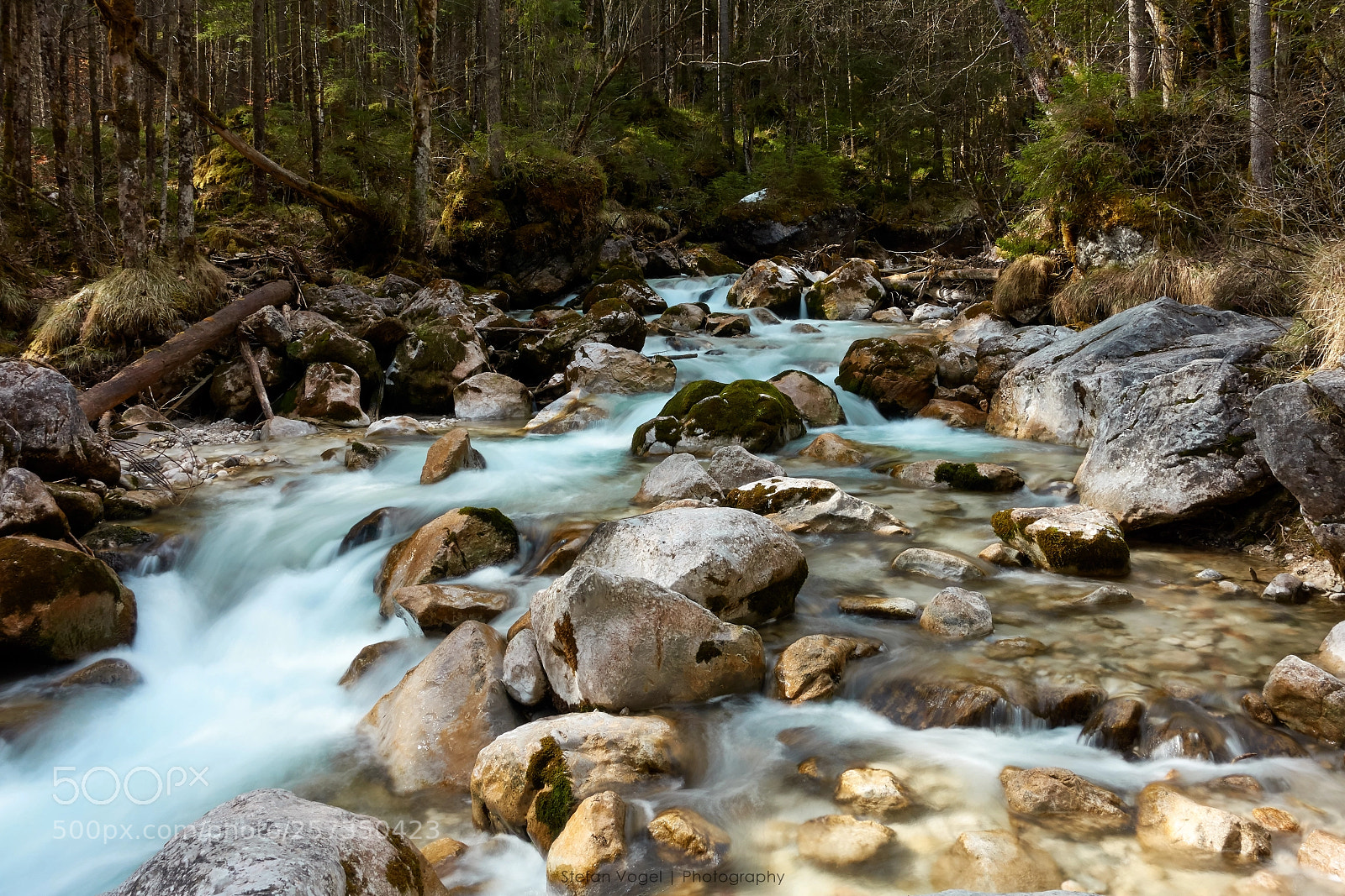 Sony Cyber-shot DSC-RX100 III sample photo. Bewitched forest photography