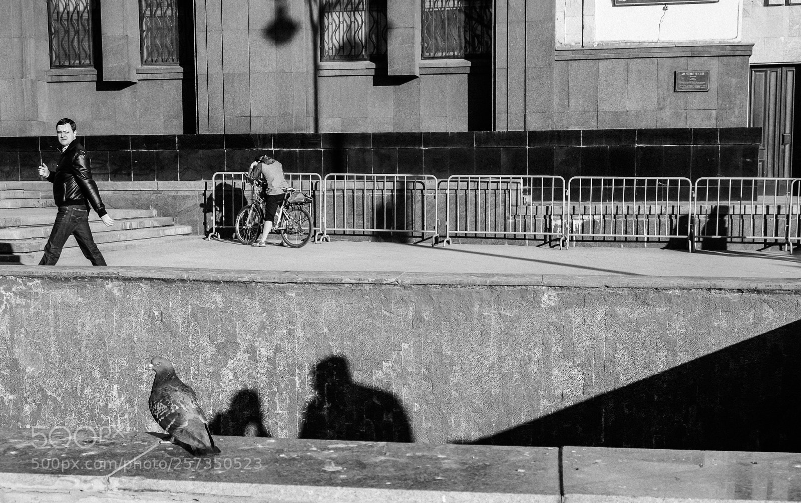 Fujifilm X-T2 sample photo. Pigeon photography