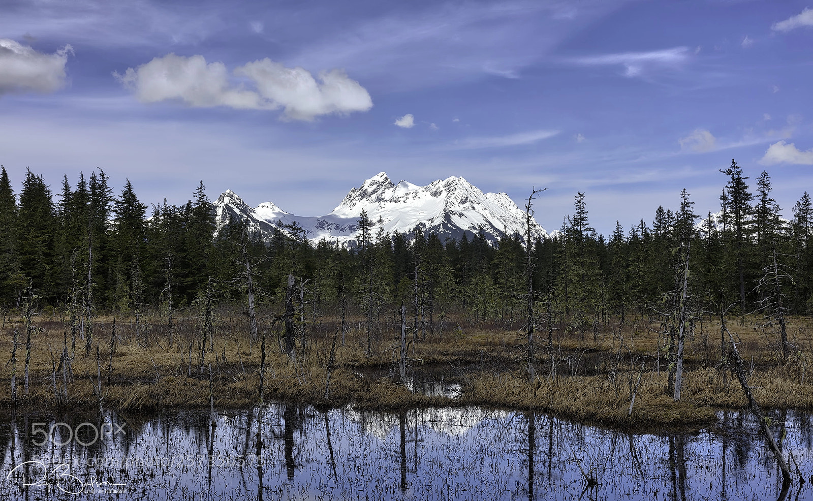 Canon EOS 5DS R sample photo. Chugach national forest photography