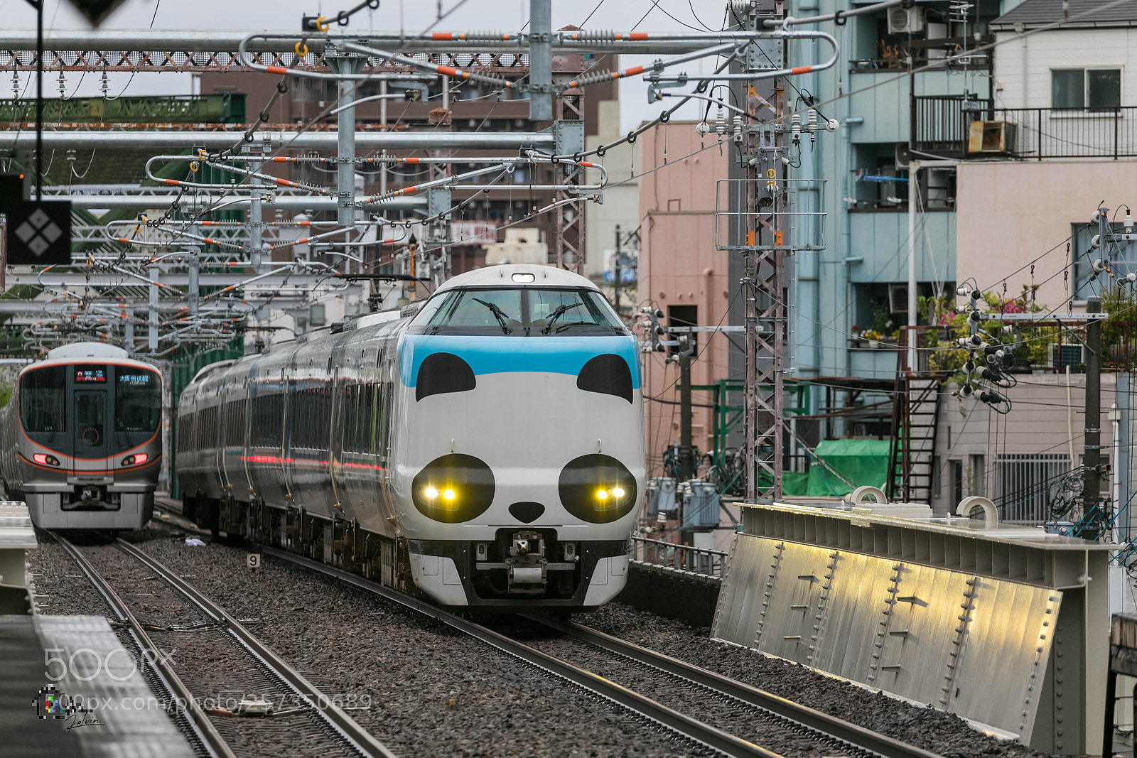Canon EOS 5D Mark IV sample photo. 熊貓眼(熊貓眼(panda eyes) photography