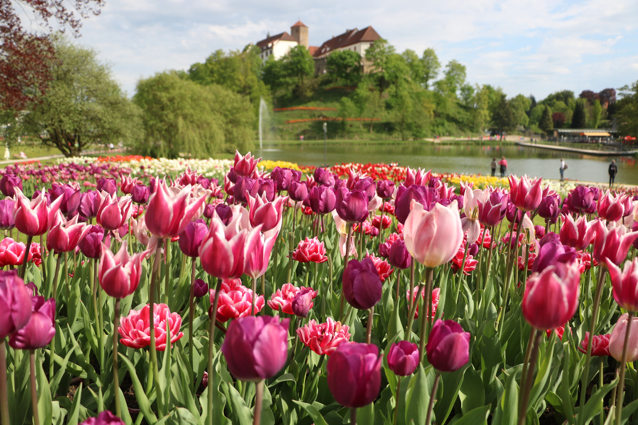 Canon EOS 750D (EOS Rebel T6i / EOS Kiss X8i) sample photo. Landesgartenschau bad iburg 2018 photography