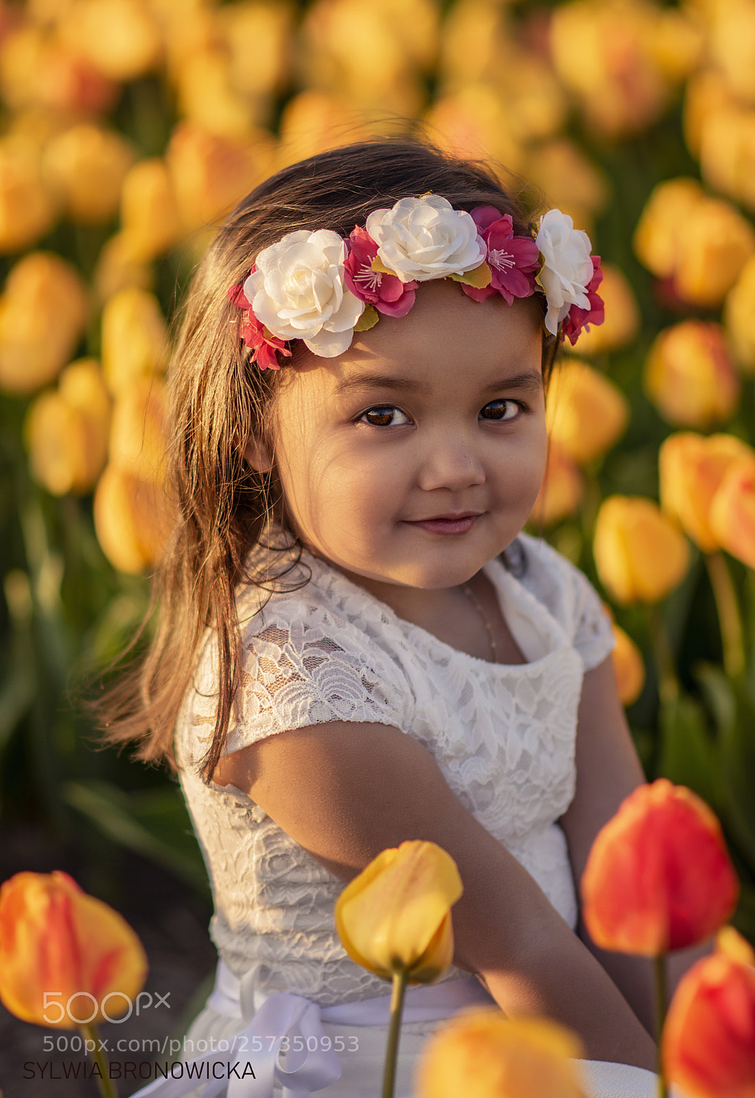 Nikon D5500 sample photo. Untitled photography