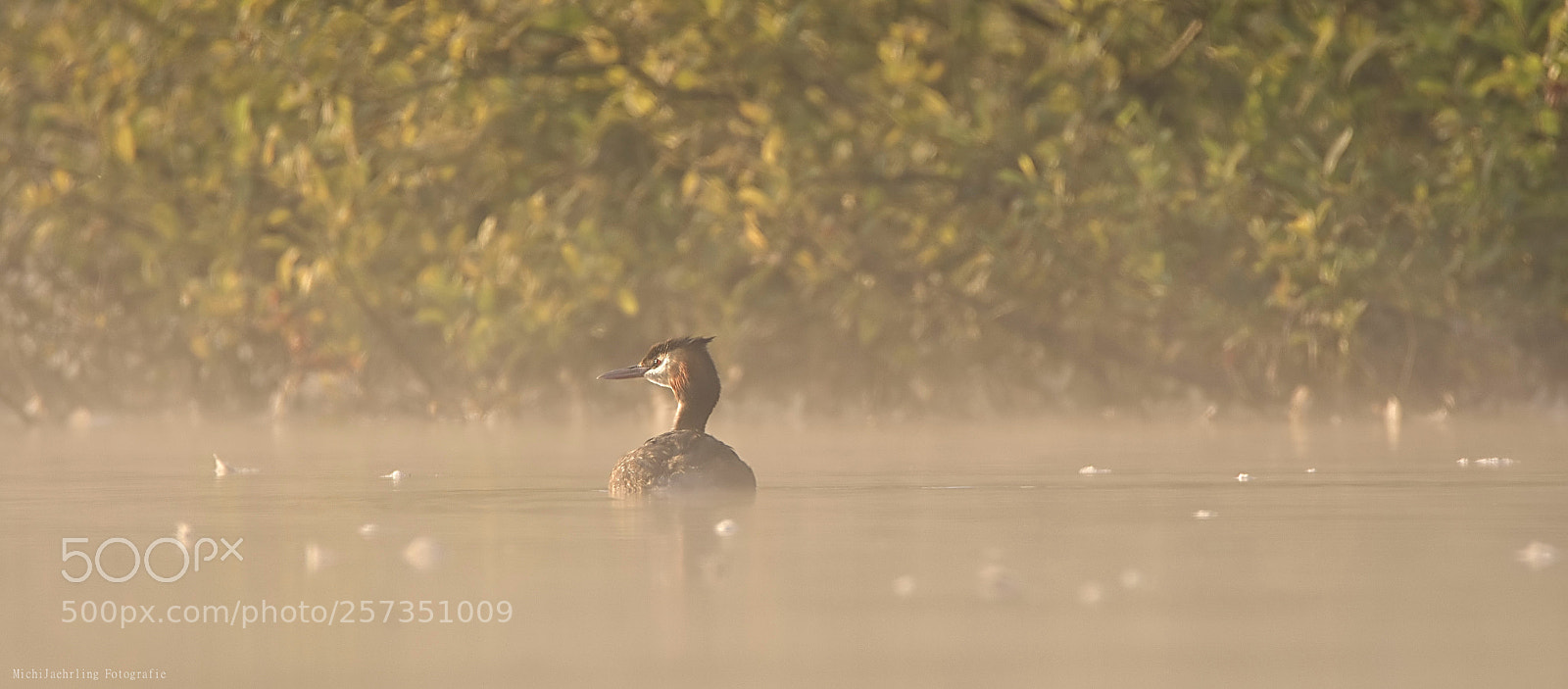 Nikon D7200 sample photo. In the morning mist photography