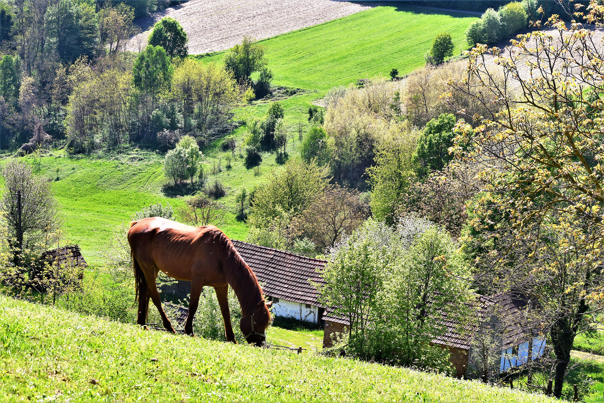 Nikon D3300 sample photo. Easy... photography