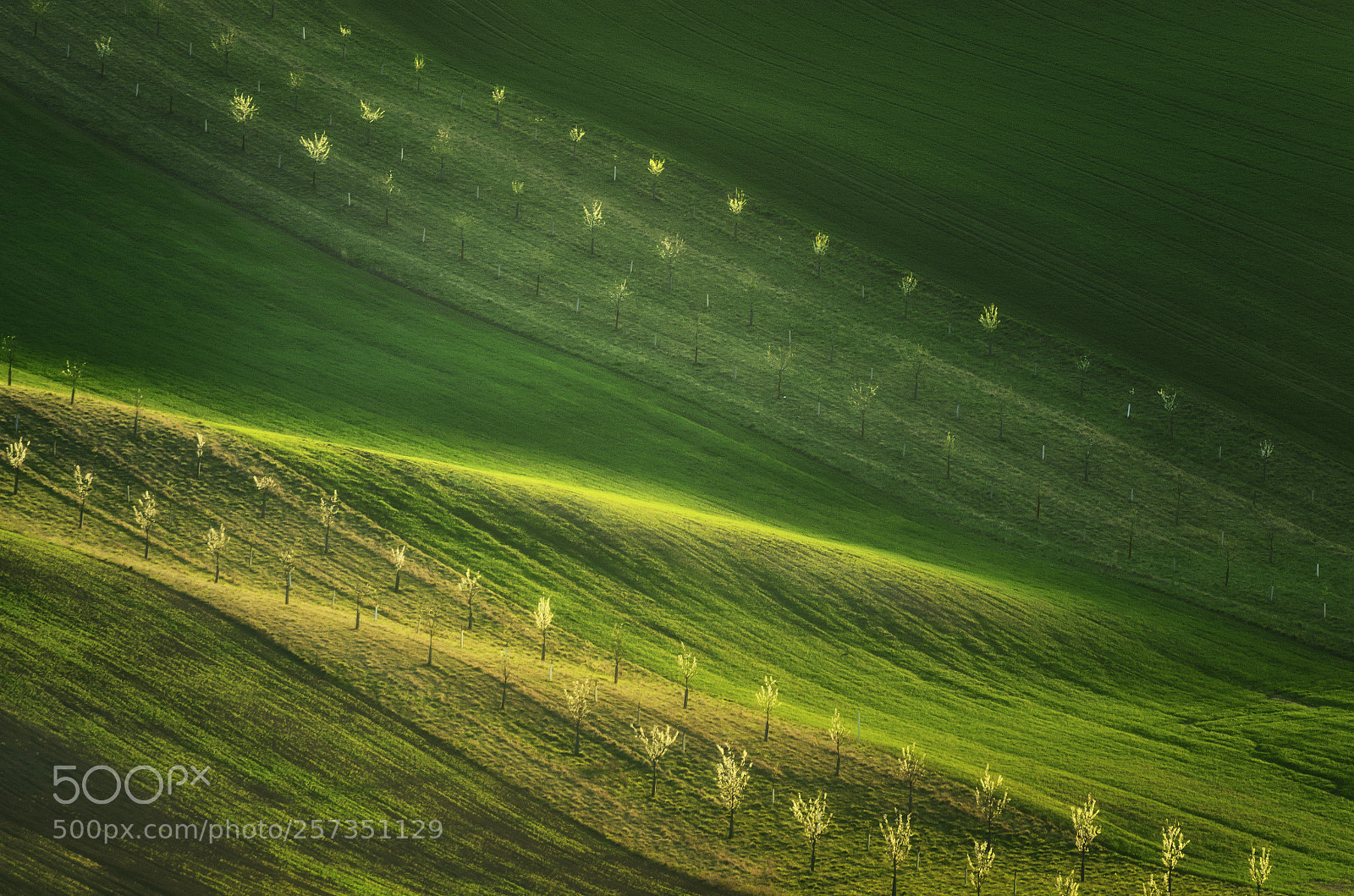 Nikon D7000 sample photo. Moravian tuscany photography
