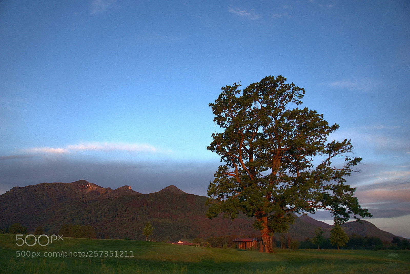 Sony ILCA-77M2 sample photo. Golf course dsc photography