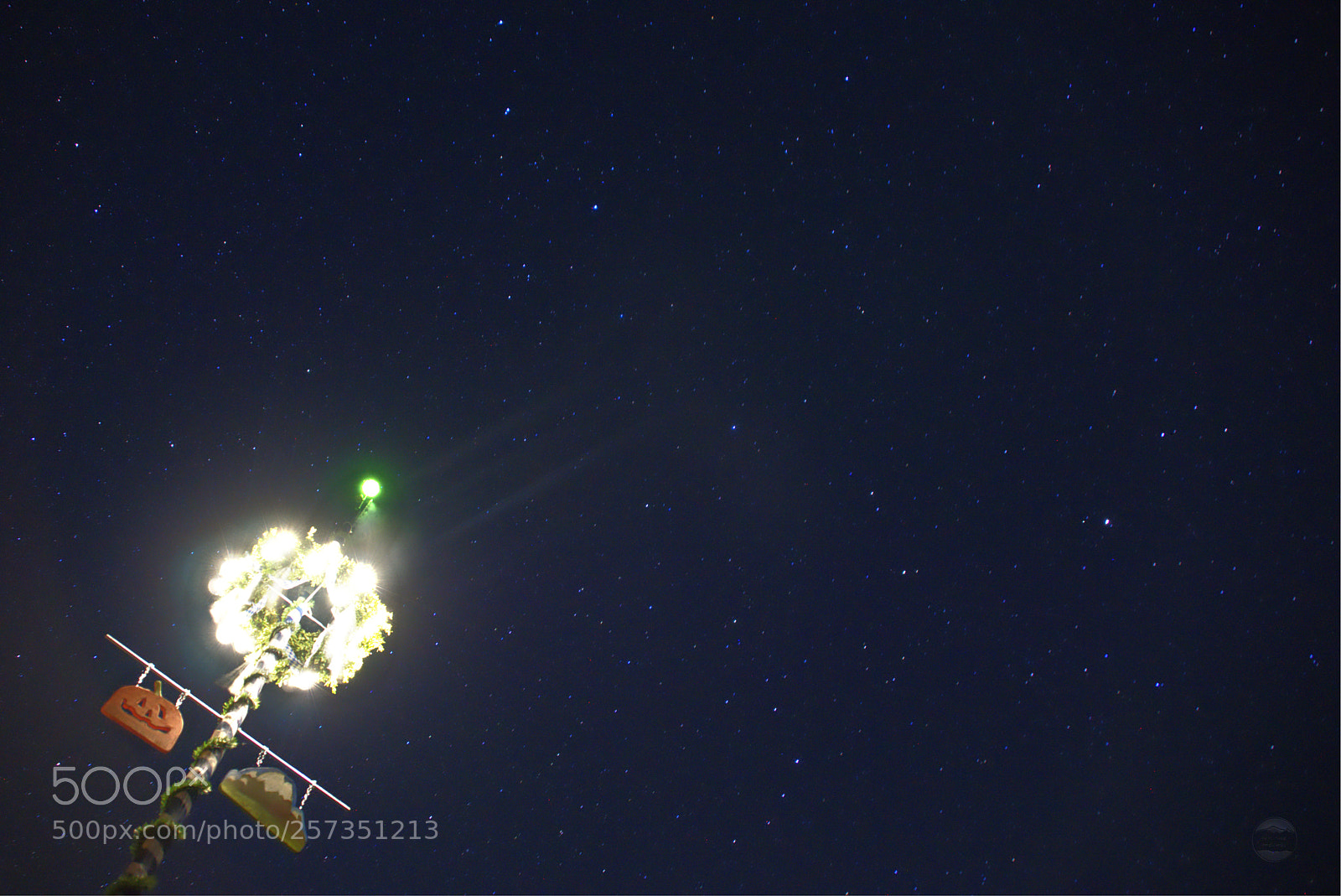 Sony ILCA-77M2 sample photo. May tree night sky photography