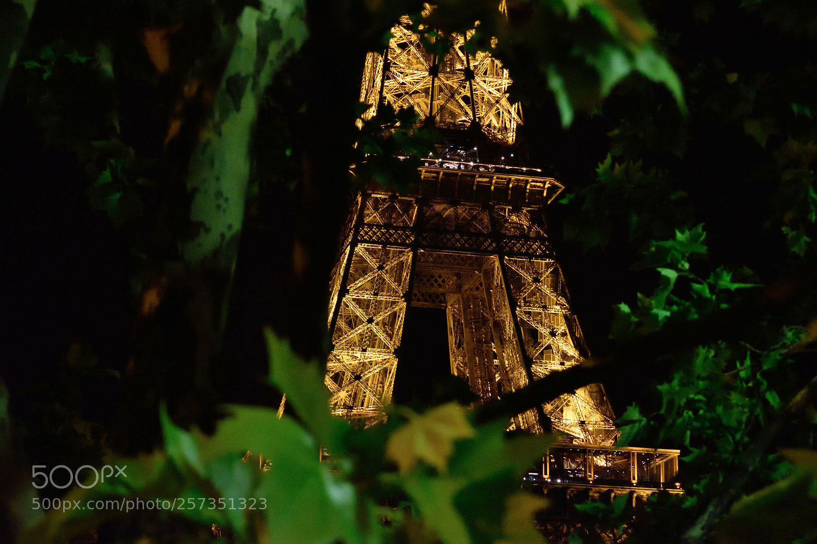 Nikon D5500 sample photo. Une fen tre sur photography