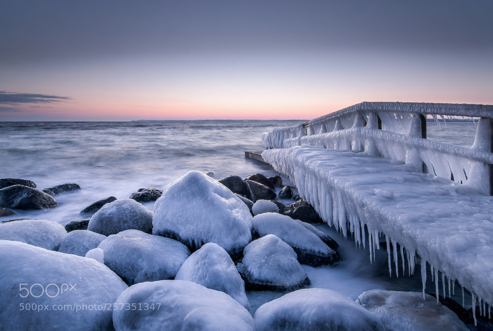 Nikon D500 sample photo. Frozen photography