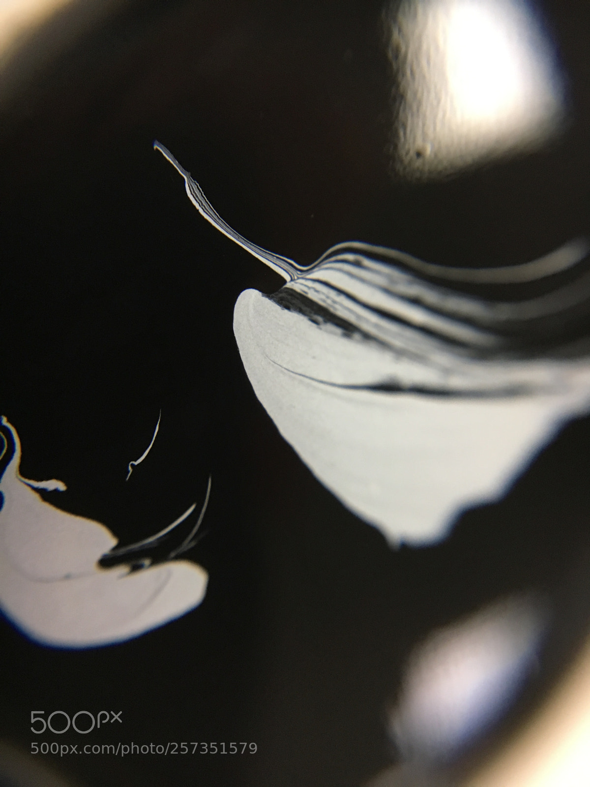 Apple iPhone 6s sample photo. Macro in art class photography
