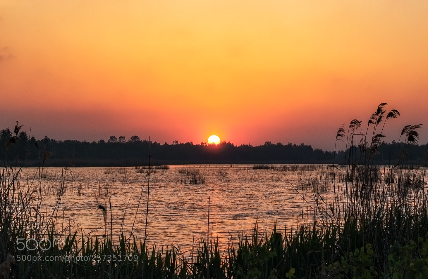 Nikon D610 sample photo. The dawn of a photography