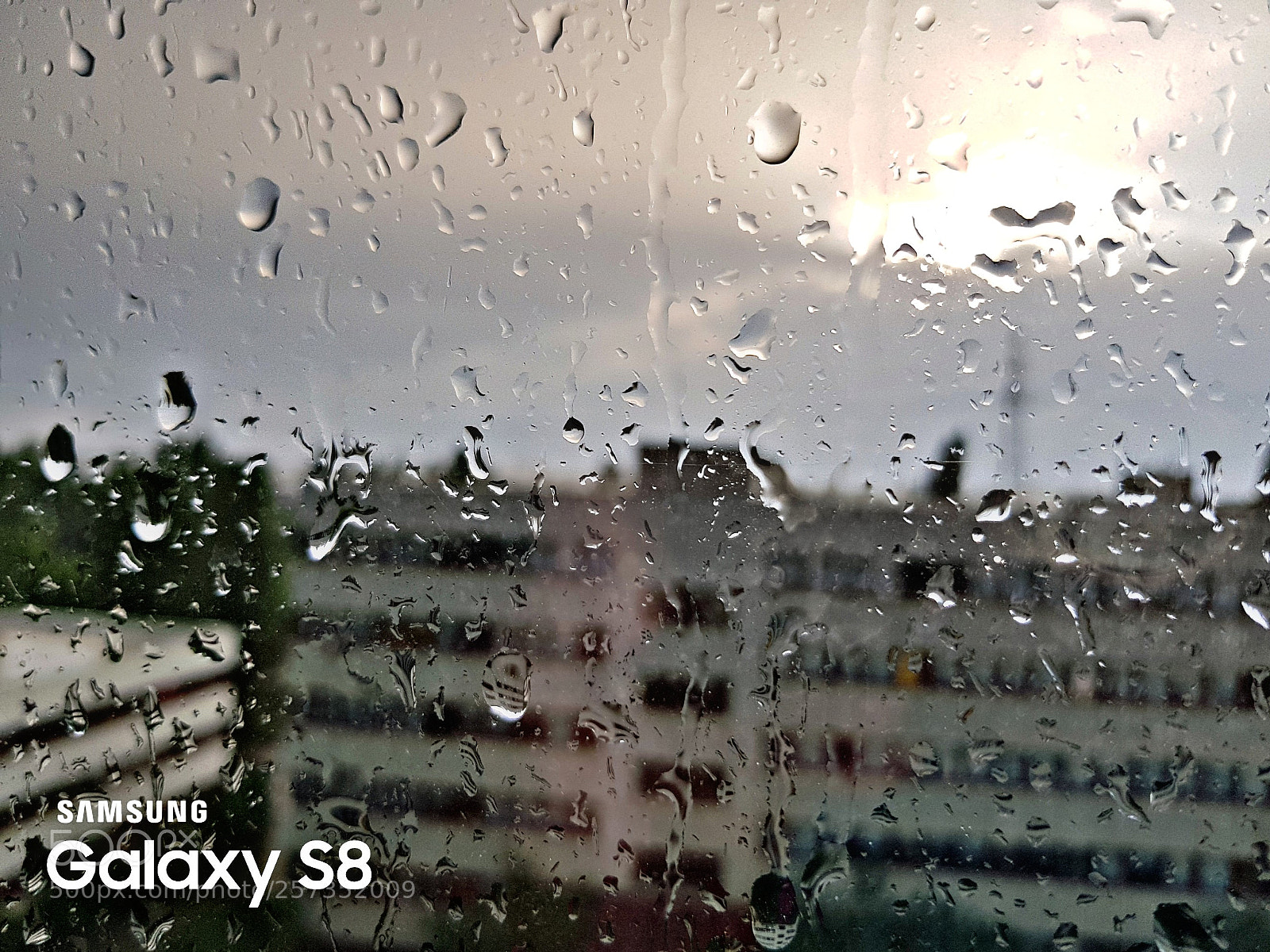 Samsung Galaxy S8 sample photo. Untitled photography