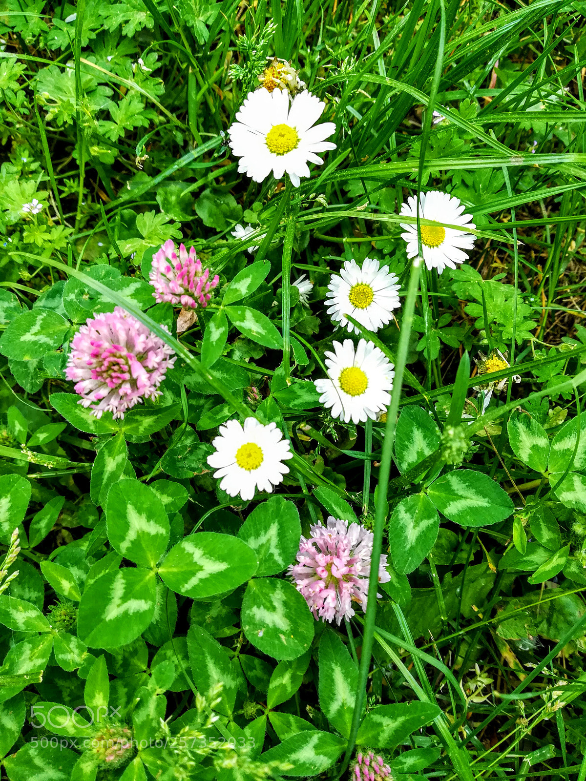 HUAWEI PRA-LX1 sample photo. Untitled photography