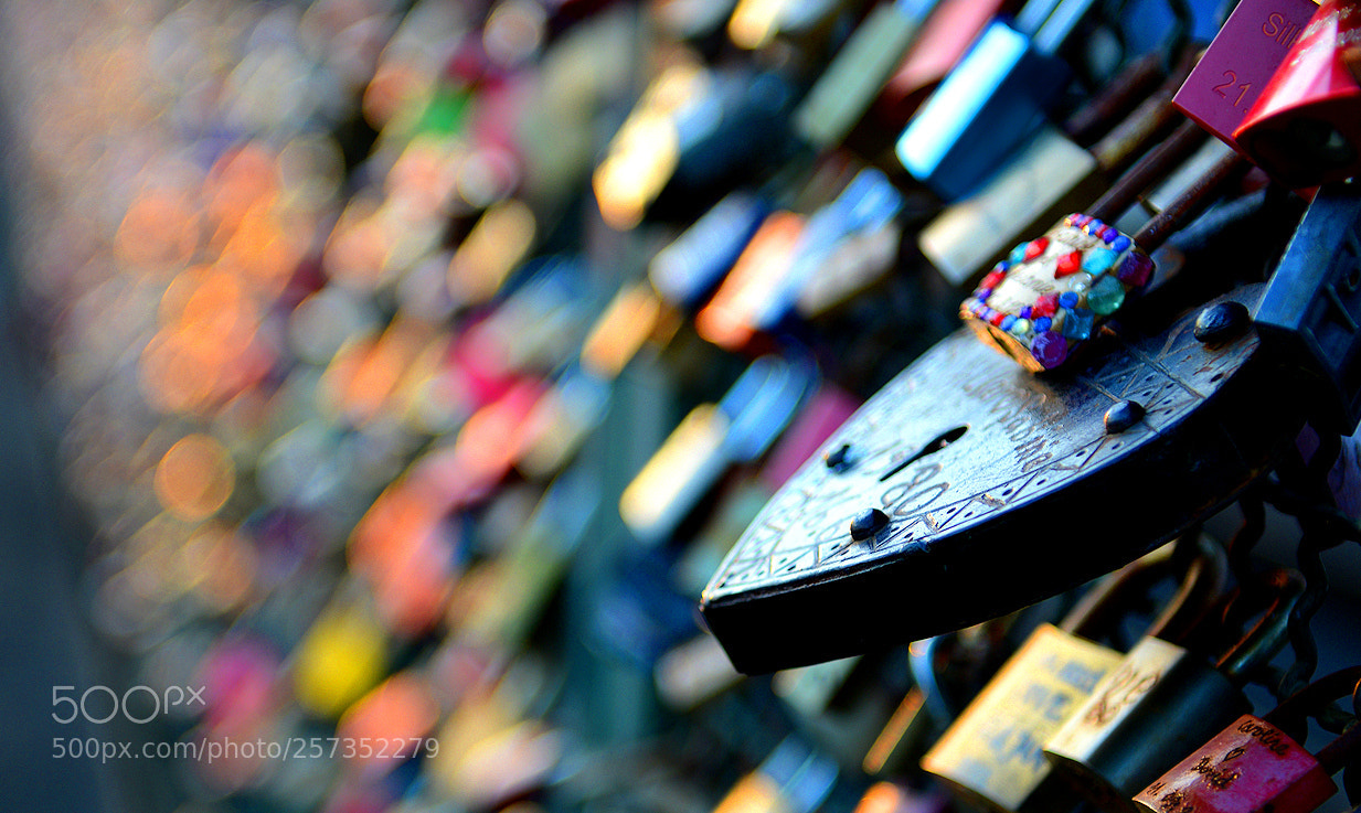 Nikon D800 sample photo. Love locks cologne photography