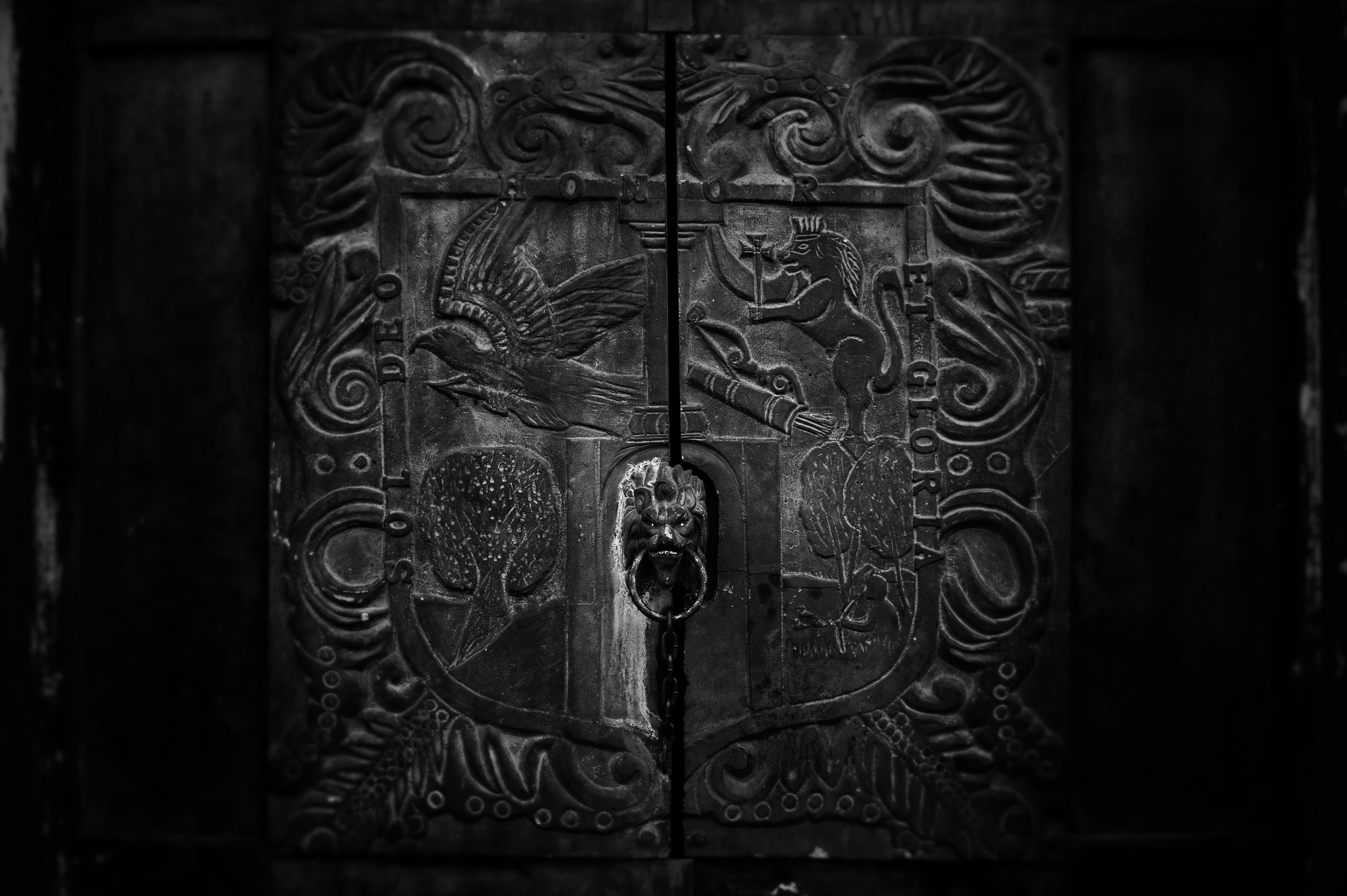 Sony Alpha a3500 sample photo. Coat of arms santa brígida photography