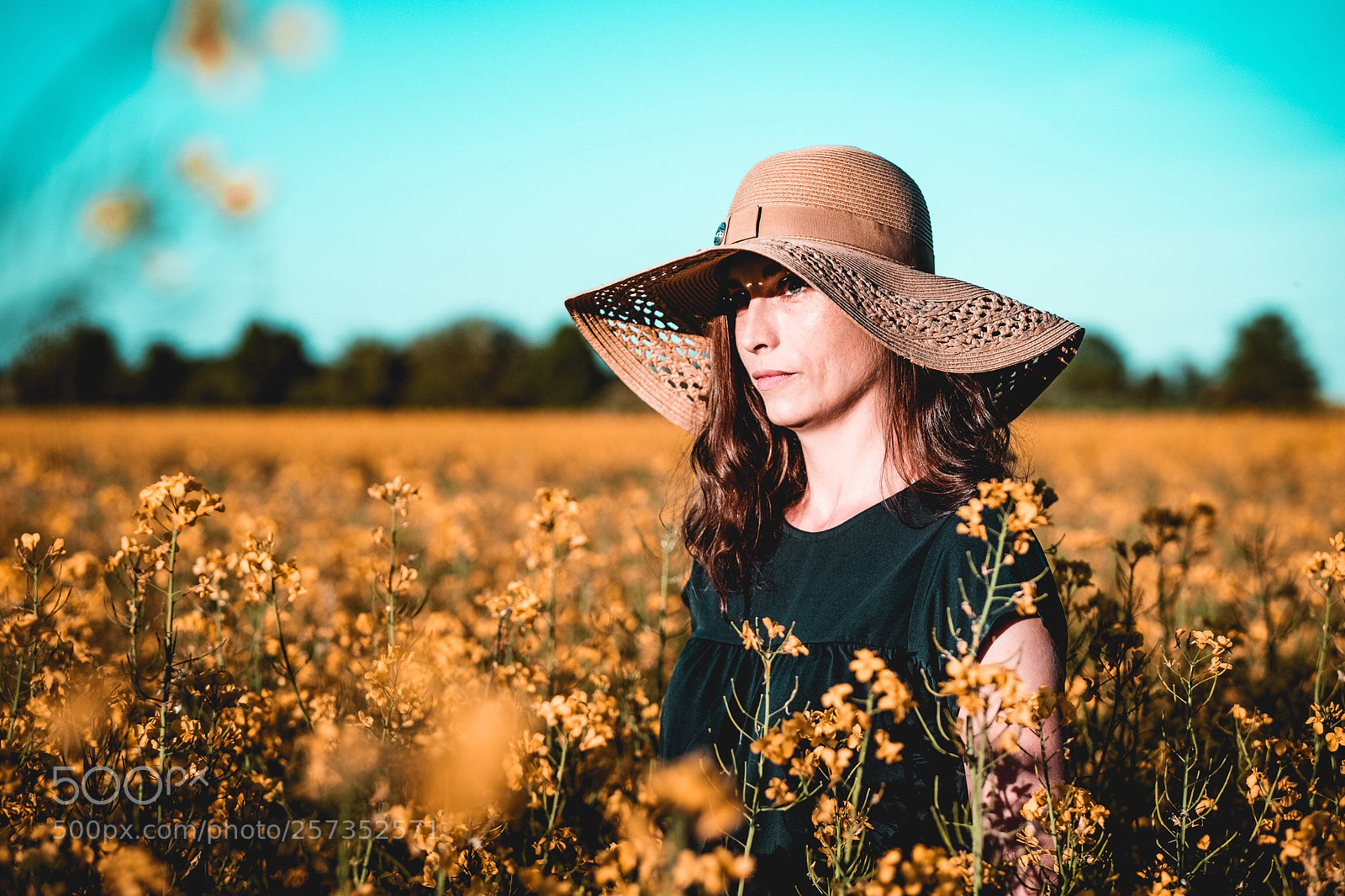 Fujifilm X-T2 sample photo. Summertime photography