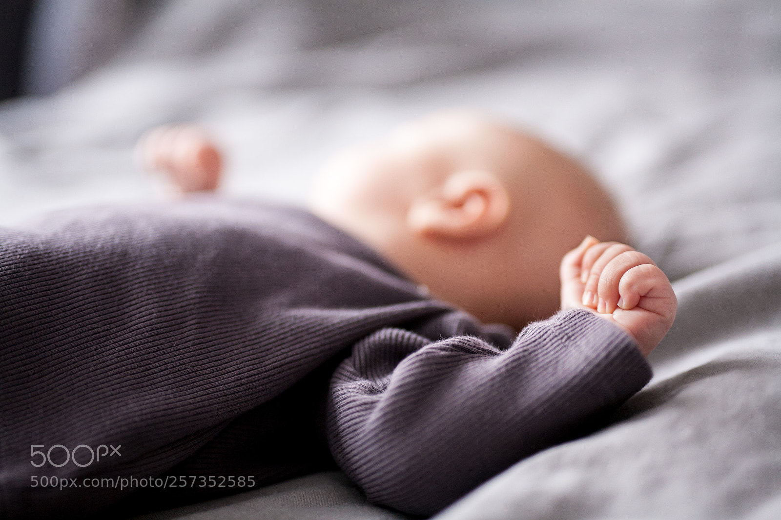 Canon EOS 5D sample photo. Untitled photography