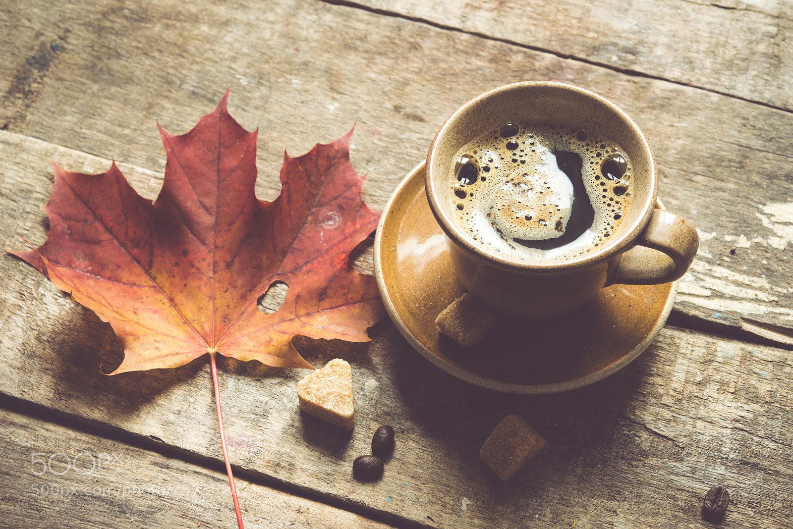 Nikon D800E sample photo. Cup coffee photography