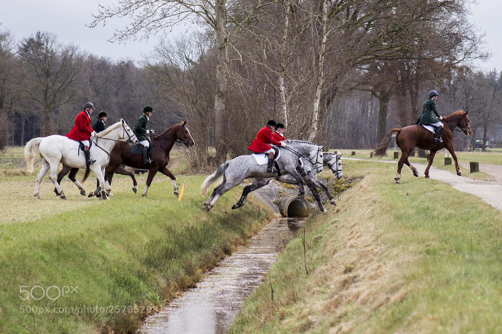 Canon EOS 77D (EOS 9000D / EOS 770D) sample photo. Foxhunt in holland photography