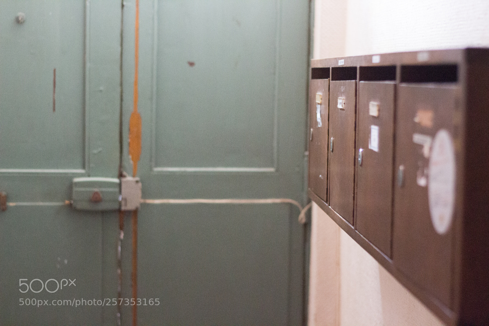 Canon EOS 700D (EOS Rebel T5i / EOS Kiss X7i) sample photo. Img photography