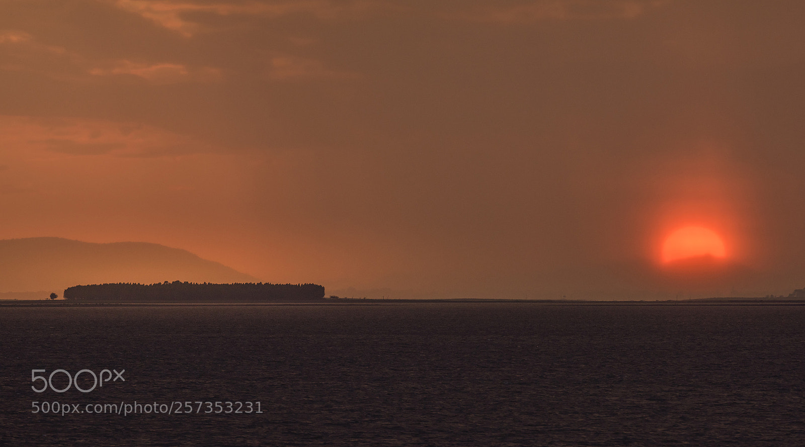 Nikon D810 sample photo. The weak sun photography
