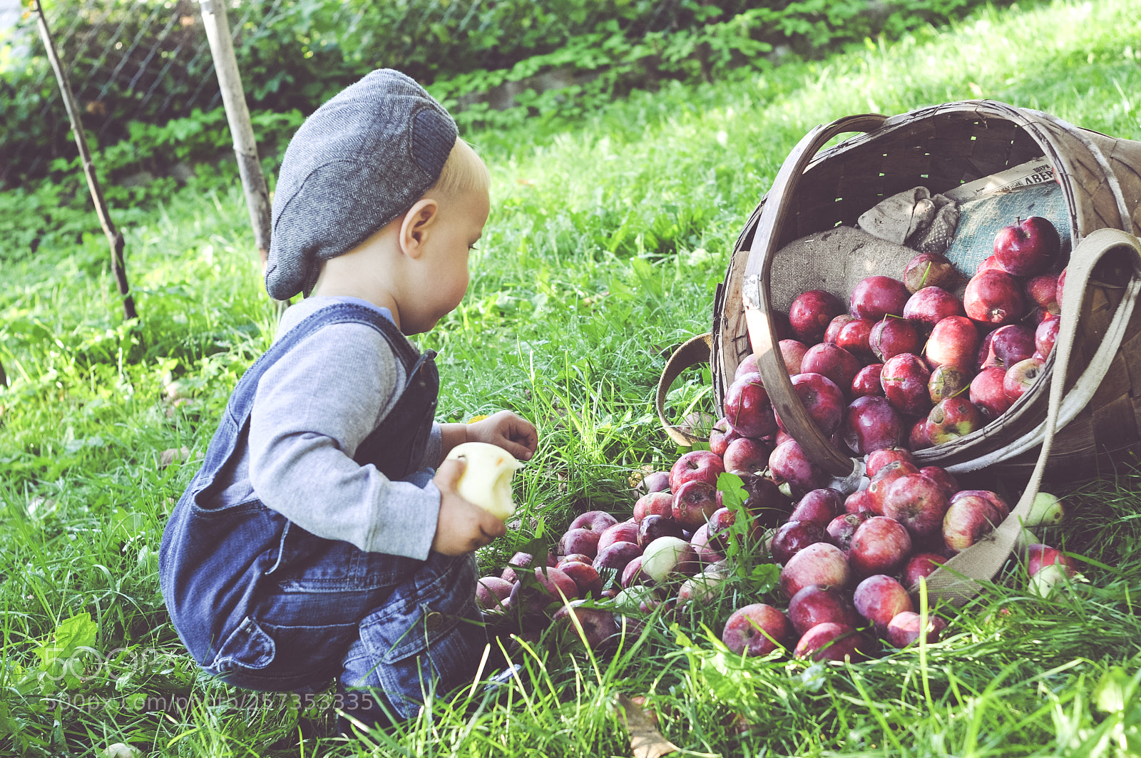 Nikon D300S sample photo. Harvest photography